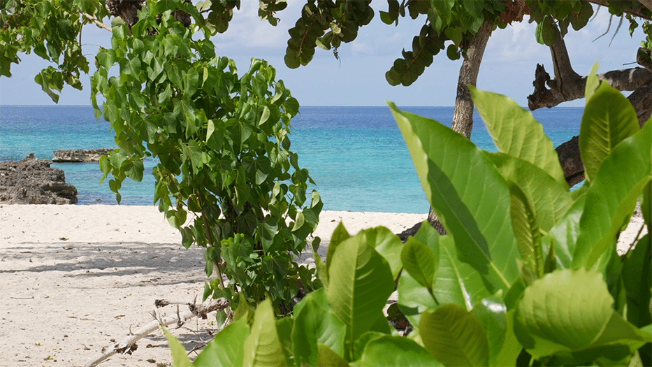 View across Smith Barcadere out to the Caribbean Sea.