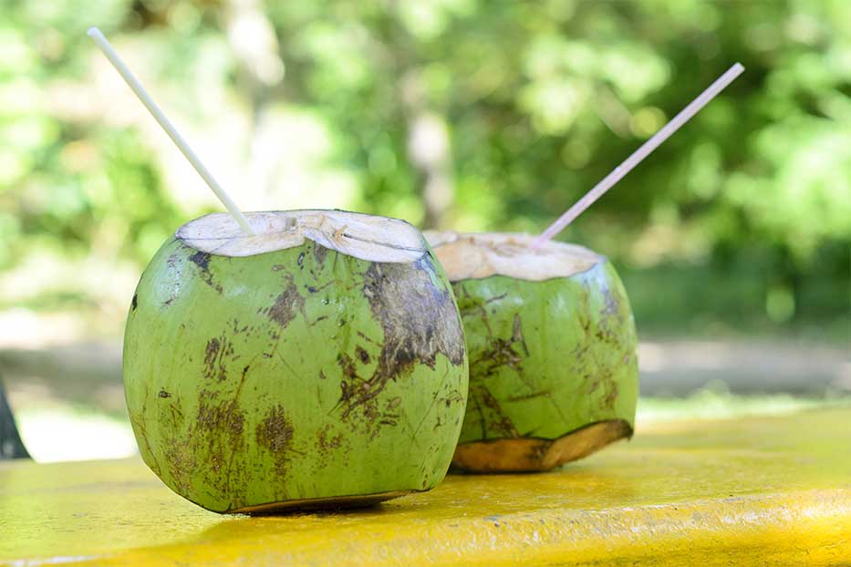 Two cut coconuts with straws for drinking coconut water.