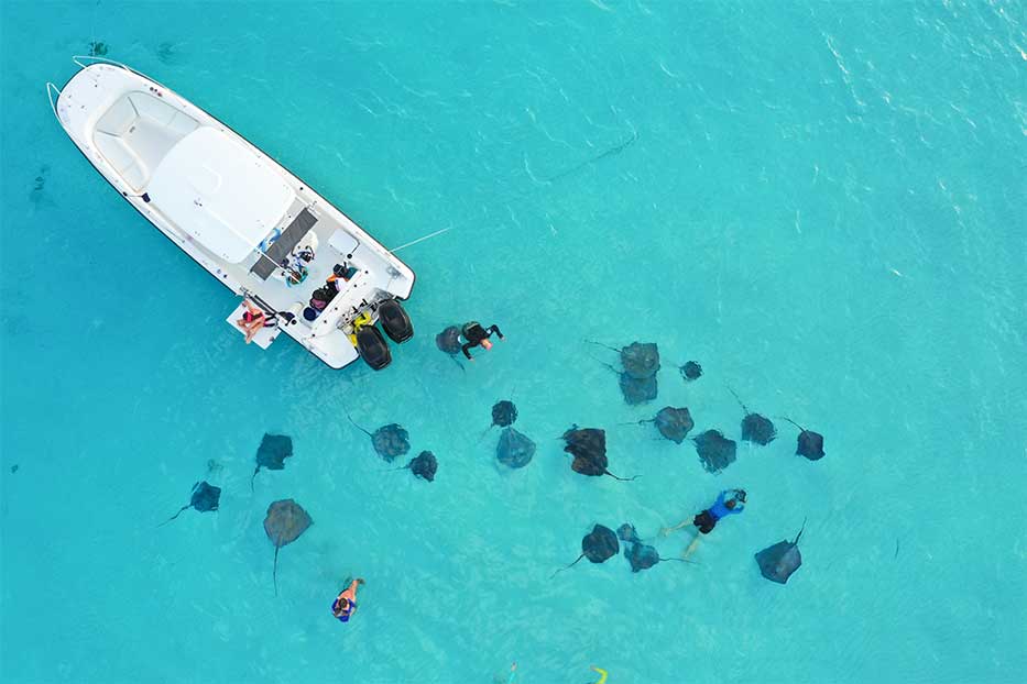 Overhead shot of a boat and Stingrays on Stingray City, Grand Cayman.