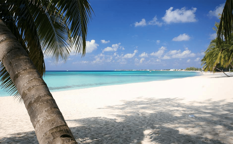 A palm tree, white sands and crystal waters of Grand Cayman.