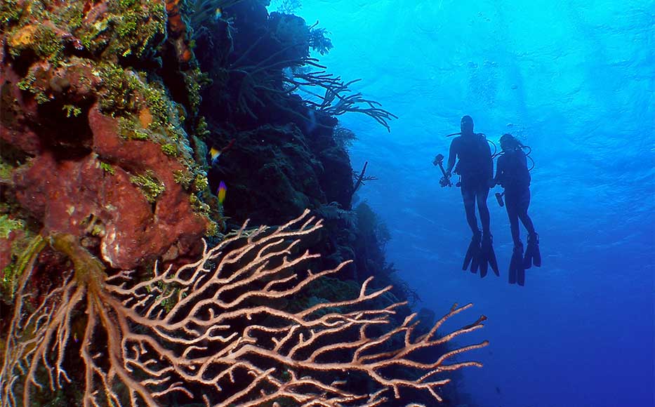 Scuba Divers at Bloody Bay Wall in Little Cayman
