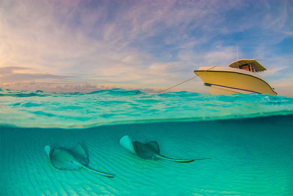 Stingray City in the Cayman Islands