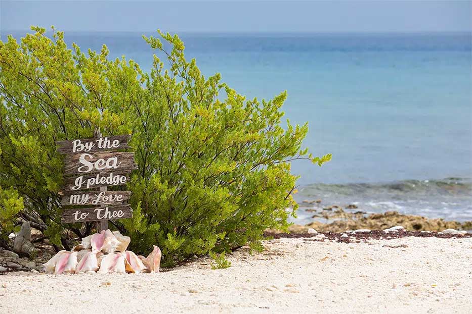 Wedding plaque surrounded by conch shells with Caribbean Sea in the background.