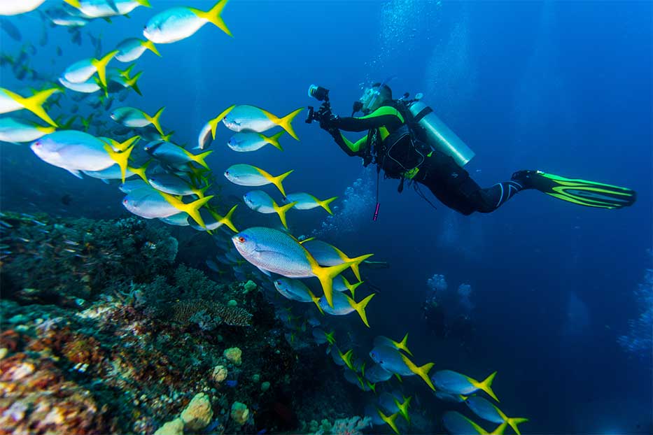 Scuba diving in the Cayman Islands