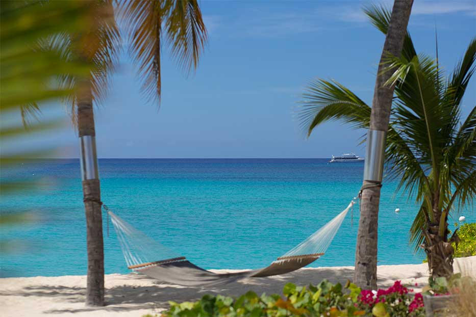 A tropical beach with a hammock between palm trees